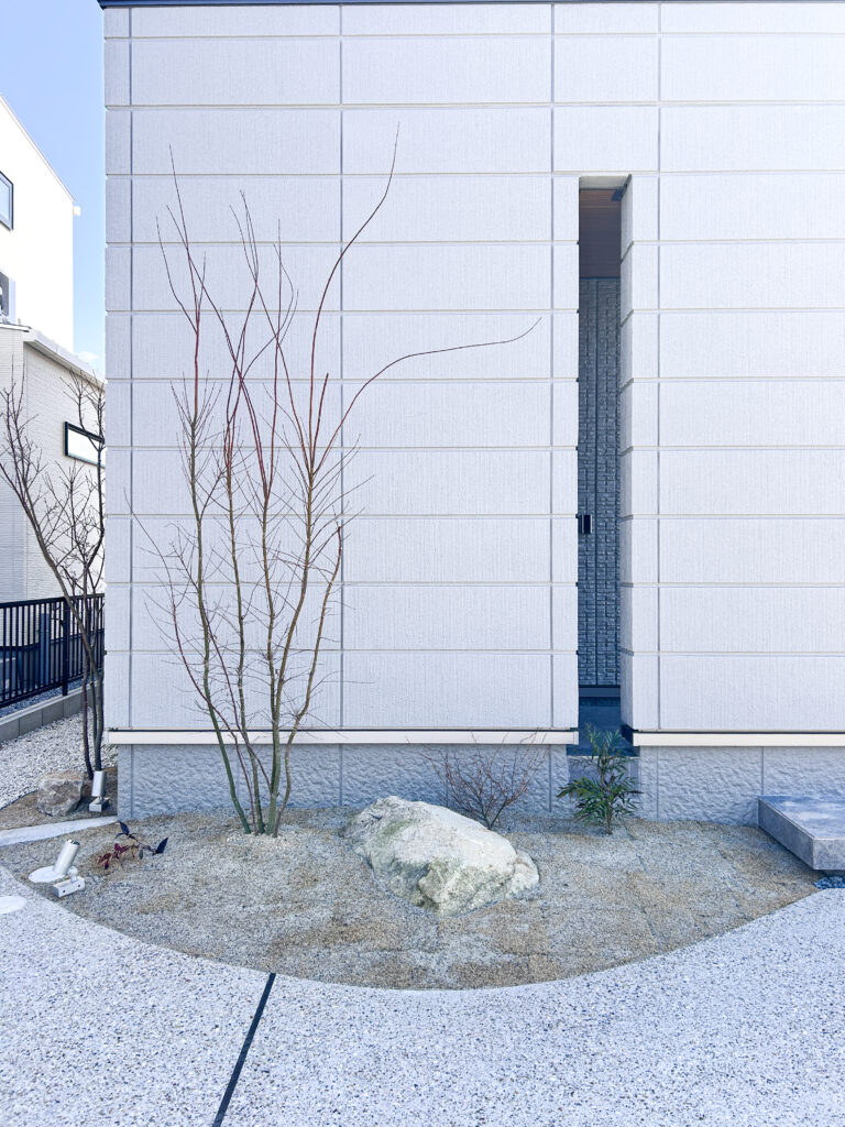 外壁とアオダモ